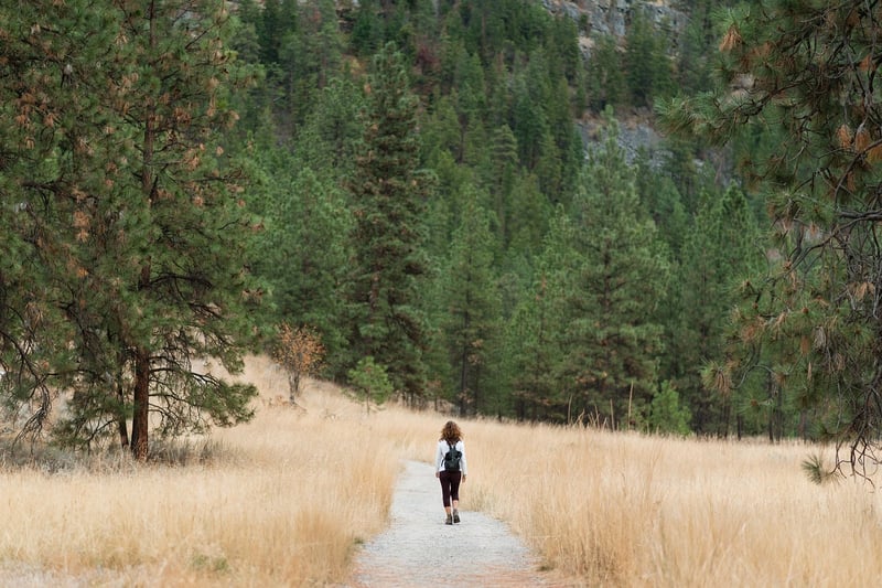 Mountain Hiking
